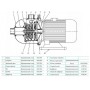 Многоступенчатый насос CNP CHL 4-40 LDWSR
